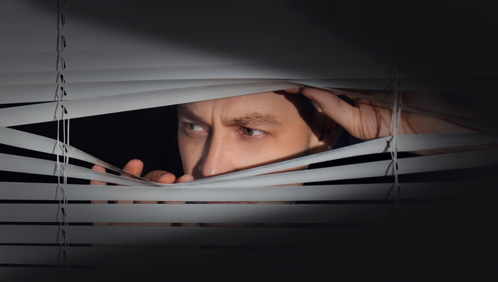 Stop Overpaying for Data When You Can Spy Smarter