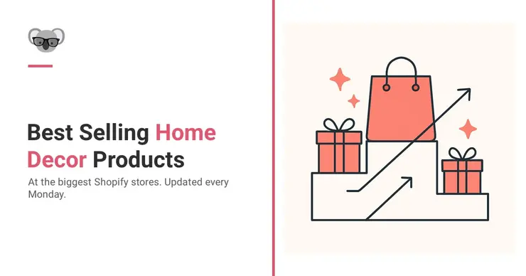 Best Selling Home Decor Products on Shopify Right Now