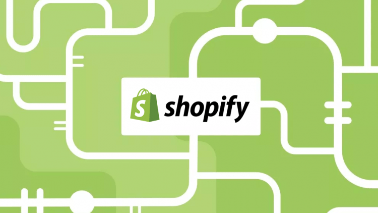 Shopify Spy Tool