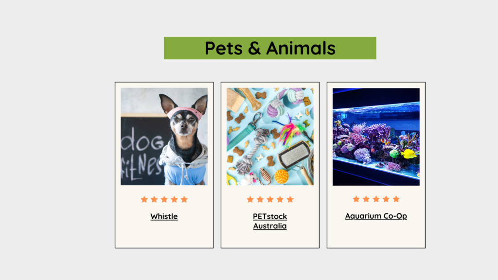 Pets & Animals