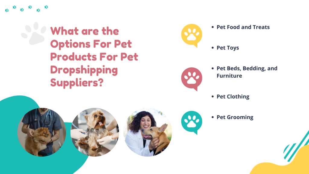 What are the Options For Pet Products For Pet Dropshipping Suppliers