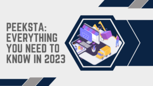 Peeksta Everything You Need to Know in 2023