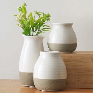 Home Decor Vases for Flowers