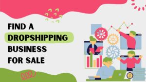 find a dropshipping business for sale
