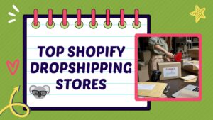 top shopify dropshipping stores